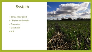 System
• Barley straw baled
• Other straw chopped
• Cover crop
• Direct drill
• Roll
 