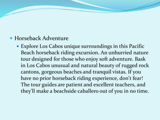  Horseback Adventure
 Explore Los Cabos unique surroundings in this Pacific
Beach horseback riding excursion. An unhurried nature
tour designed for those who enjoy soft adventure. Bask
in Los Cabos unusual and natural beauty of rugged rock
cantons, gorgeous beaches and tranquil vistas. If you
have no prior horseback riding experience, don't fear!
The tour guides are patient and excellent teachers, and
they'll make a beachside caballero out of you in no time.
 
