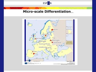 Micro-scale Differentiation…
 