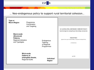 … Neo-endogenous policy to support rural territorial cohesion…
Endogenous
Tailoring
of Regional
Programmes
Micro-scale
Patterns of
(Intangible) Assets,
Regional Audits
Individual
Region
Programme
Coordination
and Targeting
Macro-scale
(Structural)
Patterns.
Regional indicators
and Typologies
Type or
Macro-Region
 