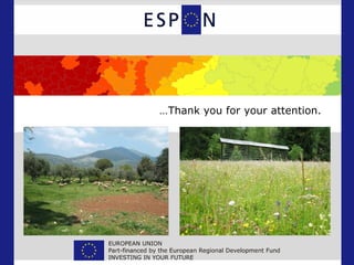 …Thank you for your attention.
 