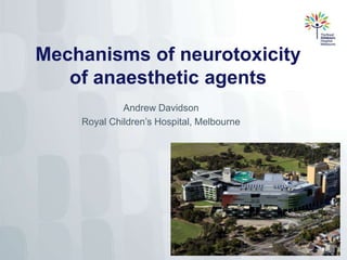 Mechanisms of neurotoxicity
of anaesthetic agents
Andrew Davidson
Royal Children’s Hospital, Melbourne
 