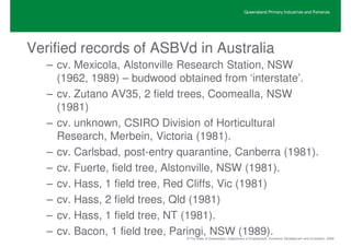 Queensland Primary Industries and Fisheries




Verified records of ASBVd in Australia
   – cv. Mexicola, Alstonville Research Station, NSW
     (1962, 1989) – budwood obtained from ‘interstate’.
   – cv. Zutano AV35, 2 field trees, Coomealla, NSW
     (1981)
   – cv. unknown, CSIRO Division of Horticultural
     Research, Merbein, Victoria (1981).
   – cv. Carlsbad, post-entry quarantine, Canberra (1981).
   – cv. Fuerte, field tree, Alstonville, NSW (1981).
   – cv. Hass, 1 field tree, Red Cliffs, Vic (1981)
   – cv. Hass, 2 field trees, Qld (1981)
   – cv. Hass, 1 field tree, NT (1981).
   – cv. Bacon, 1 field tree, Paringi, NSW (1989).
                               © The State of Queensland, Department of Employment, Economic Development and Innovation, 2009
 