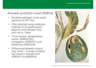 Queensland Primary Industries and Fisheries




Avocado sunblotch viroid (ASBVd)
• Smallest pathogen in the world
  (genome of 247 nts).
• Only detected using molecular
  methods or by grafting bark
  patches onto indicator host
  such as cv. Hass.
• Three strains: symptomless
  carrier (ASBVd-SC),
  variegation (ASBVd-V) and
  bleaching (ASBVd-B).
• Differences between strains
  very minor – a single mutation
  can result in change from
  ASBVd-V to ASBVd-B.


                                   © The State of Queensland, Department of Employment, Economic Development and Innovation, 2009
 