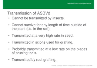Queensland Primary Industries and Fisheries




Transmission of ASBVd
• Cannot be transmitted by insects.
• Cannot survive for any length of time outside of
  the plant (i.e. in the soil).
• Transmitted at a very high rate in seed.
• Transmitted in scions used for grafting.
• Probably transmitted at a low rate on the blades
  of pruning tools.
• Transmitted by root grafting.
                            © The State of Queensland, Department of Employment, Economic Development and Innovation, 2009
 