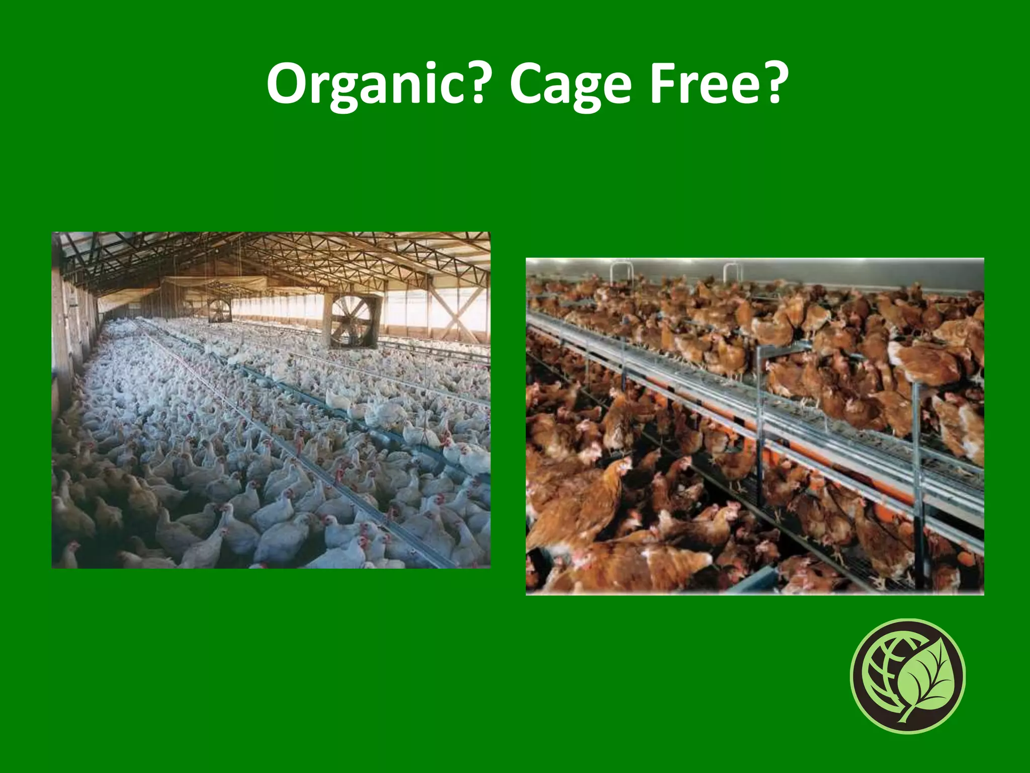 Organic? Cage Free?
 