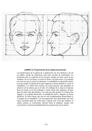 114
LAMINA 73. Proporciones de la cabeza de jovencito
Las proporciones de la cabeza de n adolescente son casi idénticas a las de
un adulto, siendo las diferencias más bien cuestión de sentimiento. La
estructura ósea se evidencia en los jóvenes, aunque no tanto como en los
hombres. No se ven líneas. La carne es firme y un tanto suave. Las mejillas
son lisas sin que se noten los músculos. La mandíbula se desarrolló mucho
en poco tiempo. El puente de la nariz adquirió su forma definitiva. Como la
mandíbula y el cráneo han crecido, las orejas parecen más pequeñas en
relación con la cabeza que en el niño. El cartílago de la oreja se evidencia
bien; las orejas ya no son redondas y tienen líneas más angulares. El pelo
deja las sienes más descubiertas. Las cejas son más gruesas. Los labios han
llegado a su completo desarrollo. La mandíbula creció y adquirió su forma
definitiva. El único hueso que aun no está completamente desarrollado es
el ángulo de la mandíbula. Las investigaciones han demostrado que éste
sigue creciendo hasta los veinte años o quizás más. Creo que tampoco el
cráneo alcanza su crecimiento máximo hasta la madurez, aunque este
crecimiento no afecta perceptiblemente las proporciones de la cabeza.
 
