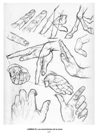 127
LAMINA 83. Los movimientos de la mano
 