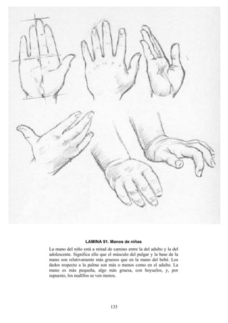 135
LAMINA 91. Manos de niñas
La mano del niño está a mitad de camino entre la del adulto y la del
adolescente. Significa ello que el músculo del pulgar y la base de la
mano son relativamente más gruesos que en la mano del bebé. Los
dedos respecto a la palma son más o menos como en el adulto. La
mano es más pequeña, algo más gruesa, con hoyuelos, y, por
supuesto, los nudillos se ven menos.
 
