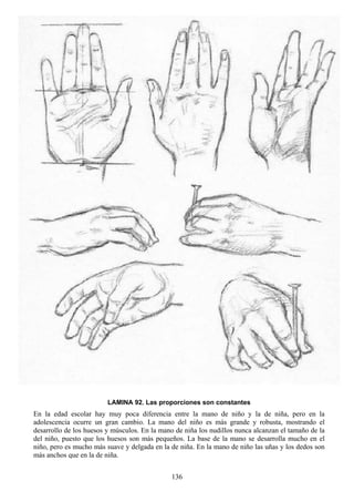 136
LAMINA 92. Las proporciones son constantes
En la edad escolar hay muy poca diferencia entre la mano de niño y la de niña, pero en la
adolescencia ocurre un gran cambio. La mano del niño es más grande y robusta, mostrando el
desarrollo de los huesos y músculos. En la mano de niña los nudillos nunca alcanzan el tamaño de la
del niño, puesto que los huesos son más pequeños. La base de la mano se desarrolla mucho en el
niño, pero es mucho más suave y delgada en la de niña. En la mano de niño las uñas y los dedos son
más anchos que en la de niña.
 