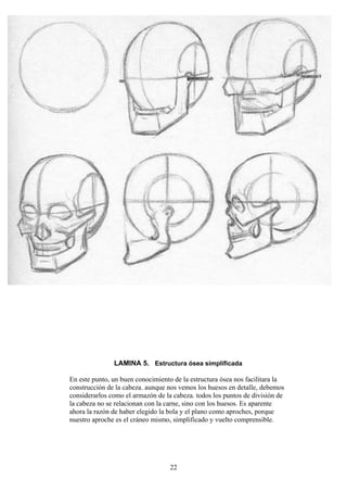 22
LAMINA 5. Estructura ósea simplificada
En este punto, un buen conocimiento de la estructura ósea nos facilitara la
construcción de la cabeza. aunque nos vemos los huesos en detalle, debemos
considerarlos como el armazón de la cabeza. todos los puntos de división de
la cabeza no se relacionan con la carne, sino con los huesos. Es aparente
ahora la razón de haber elegido la bola y el plano como aproches, porque
nuestro aproche es el cráneo mismo, simplificado y vuelto comprensible.
 