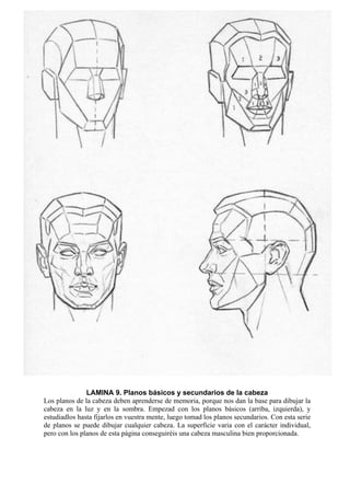 28
LAMINA 9. Planos básicos y secundarios de la cabeza
Los planos de la cabeza deben aprenderse de memoria, porque nos dan la base para dibujar la
cabeza en la luz y en la sombra. Empezad con los planos básicos (arriba, izquierda), y
estudiadlos hasta fijarlos en vuestra mente, luego tomad los planos secundarios. Con esta serie
de planos se puede dibujar cualquier cabeza. La superficie varia con el carácter individual,
pero con los planos de esta página conseguiréis una cabeza masculina bien proporcionada.
 