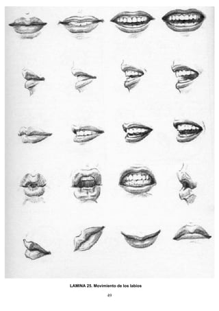 49
LAMINA 25. Movimiento de los labios
 