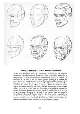 55
LAMINA 31. El dibujo de rostros de diferentes edades
Se envejece fácilmente una cara agregándole la forma de los músculos
adelgazados y los pliegues que se forman entre ellos. Los pómulos, los ángulos de
la mandíbula, y el hueso del mentón se destacan más con el correr de los años. Los
cartílagos de la nariz y de las orejas parecen agrandarse a medida que
envejecemos. Los principales cambios tienen lugar en las mejillas y en torno de la
boca y de los ojos. La carne cede a los costados del mentón y a los lados de la
mandíbula. Se forman bolsas debajo de los ojos y líneas más profundas en los
ángulos. Los labios se vuelven más finos y sumidos, de modo que la línea de éstos
se hace mas recta. Se forman líneas que bajan desde los ángulos de la boca hasta el
costado del mentón. La carne que está por encima de los párpados cae y las cejas
parecen acercarse al puente de la nariz. Unas cuantas líneas profundas se
desarrollan a lo largo de la frente y entre las cejas. Estas suelen trazarse débiles,
sin destacarlas demasiado. El pelo, desde luego, se vuelve más ralo, desplazando la
línea del cabello, y en la coronilla el espesor del pelo es mucho menor. No
obstante dibujamos la cabeza empleando la misma construcción básica.
 