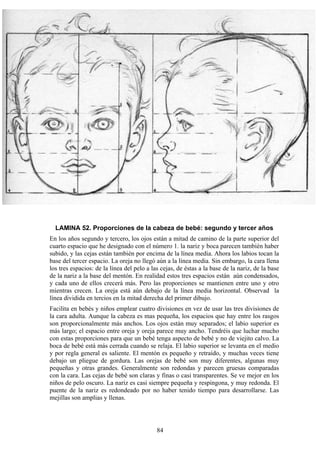 84
LAMINA 52. Proporciones de la cabeza de bebé: segundo y tercer años
En los años segundo y tercero, los ojos están a mitad de camino de la parte superior del
cuarto espacio que he designado con el número 1. la nariz y boca parecen también haber
subido, y las cejas están también por encima de la línea media. Ahora los labios tocan la
base del tercer espacio. La oreja no llegó aún a la línea media. Sin embargo, la cara llena
los tres espacios: de la línea del pelo a las cejas, de éstas a la base de la nariz, de la base
de la nariz a la base del mentón. En realidad estos tres espacios están aún condensados,
y cada uno de ellos crecerá más. Pero las proporciones se mantienen entre uno y otro
mientras crecen. La oreja está aún debajo de la línea media horizontal. Observad la
línea dividida en tercios en la mitad derecha del primer dibujo.
Facilita en bebés y niños emplear cuatro divisiones en vez de usar las tres divisiones de
la cara adulta. Aunque la cabeza es mas pequeña, los espacios que hay entre los rasgos
son proporcionalmente más anchos. Los ojos están muy separados; el labio superior es
más largo; el espacio entre oreja y oreja parece muy ancho. Tendréis que luchar mucho
con estas proporciones para que un bebé tenga aspecto de bebé y no de viejito calvo. La
boca de bebé está más cerrada cuando se relaja. El labio superior se levanta en el medio
y por regla general es saliente. El mentón es pequeño y retraído, y muchas veces tiene
debajo un pliegue de gordura. Las orejas de bebé son muy diferentes, algunas muy
pequeñas y otras grandes. Generalmente son redondas y parecen gruesas comparadas
con la cara. Las cejas de bebé son claras y finas o casi transparentes. Se ve mejor en los
niños de pelo oscuro. La nariz es casi siempre pequeña y respingona, y muy redonda. El
puente de la nariz es redondeado por no haber tenido tiempo para desarrollarse. Las
mejillas son amplias y llenas.
 