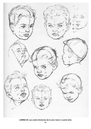 90
LAMINA 58. Las cuatro divisiones de la cara: tercer y cuarto años
 