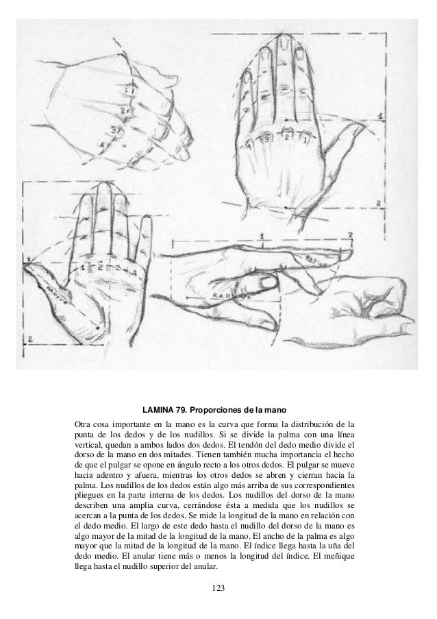 Andrew loomis dibujo de cabeza y manos (español)