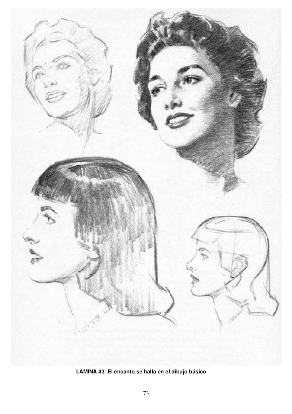 Andrew loomis dibujo de cabeza y manos (español)