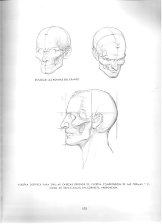 Andrew loomis   dibujo tridimensional