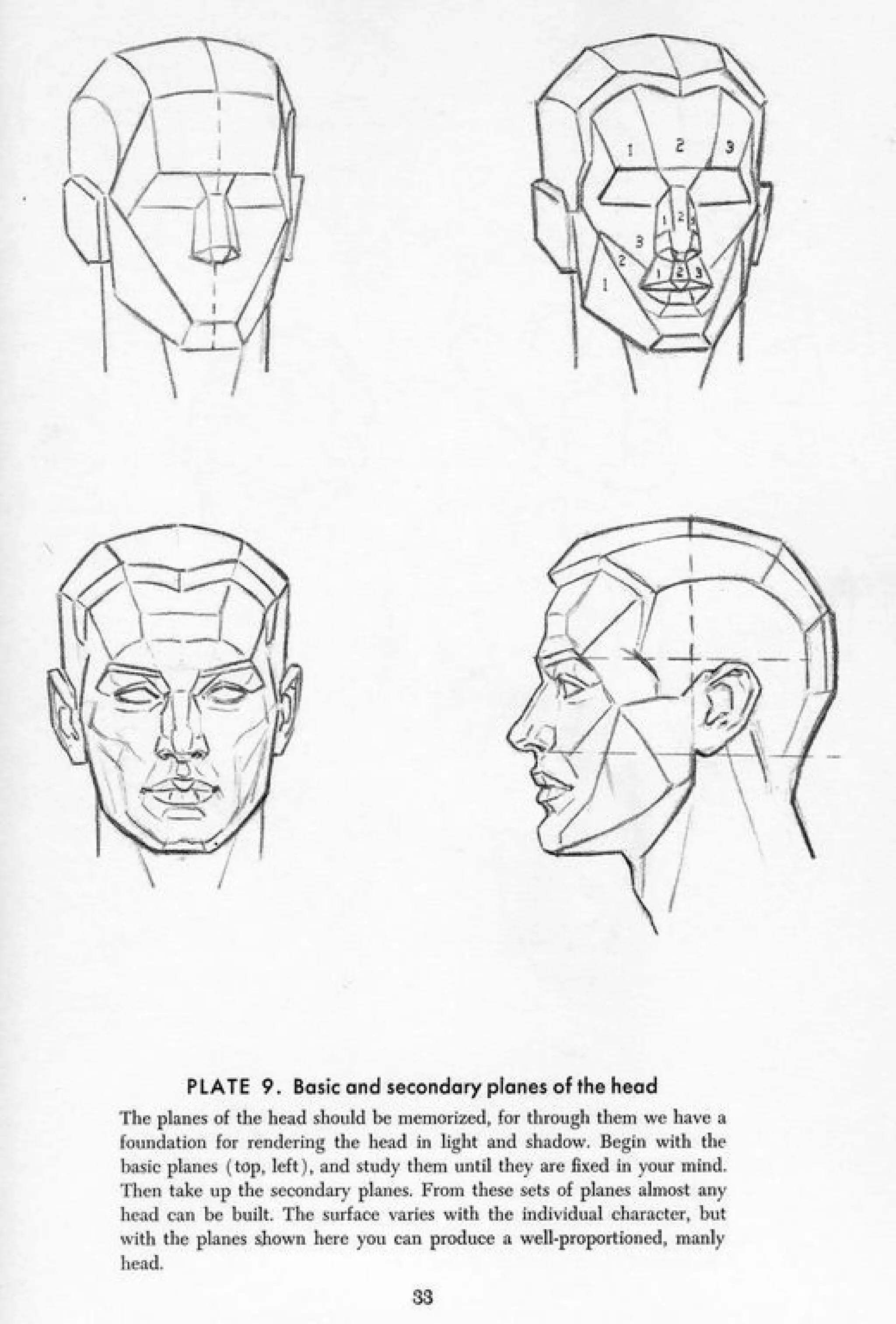Andrew loomis drawing the head and hands PDF