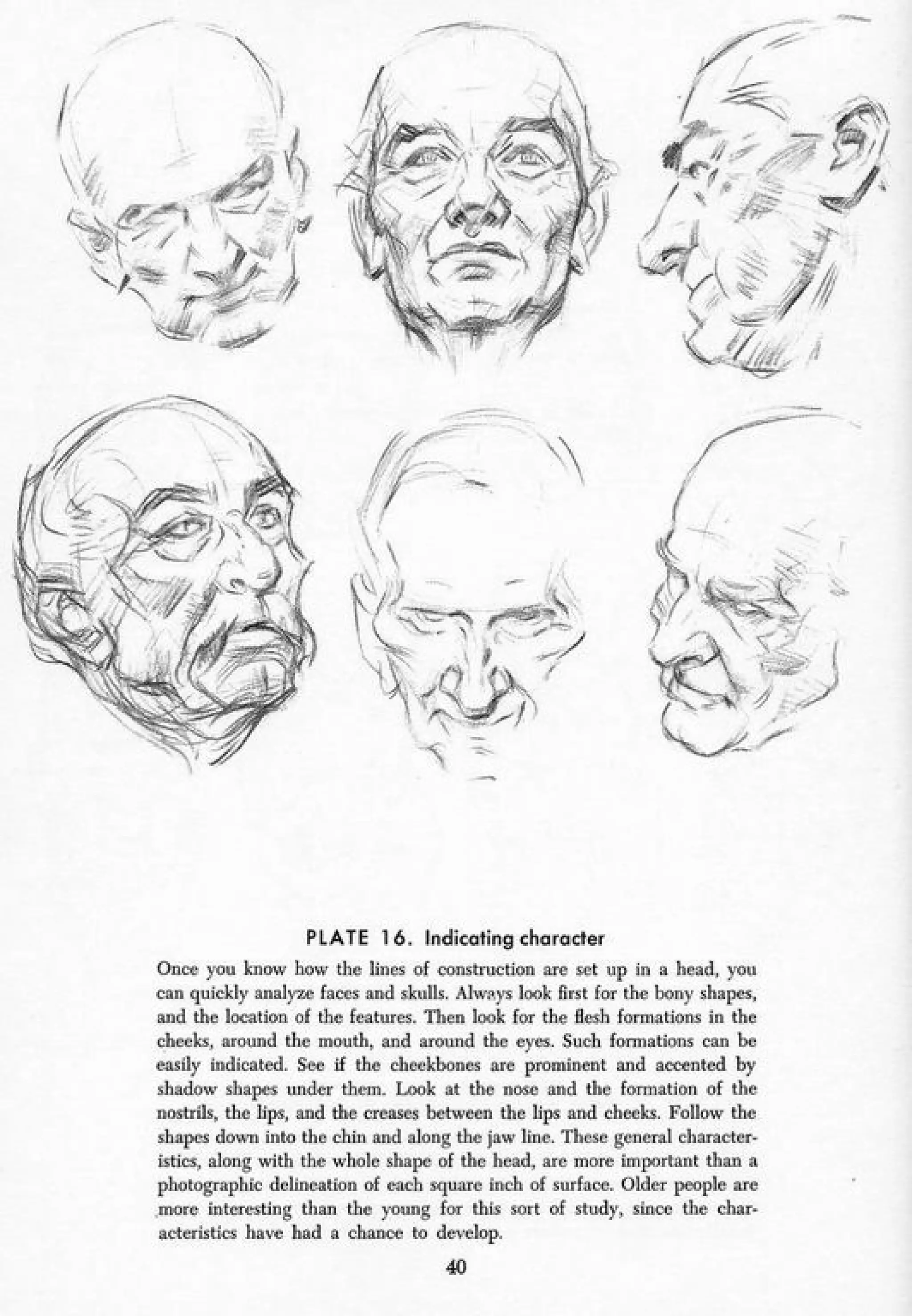 Andrew loomis drawing the head and hands PDF