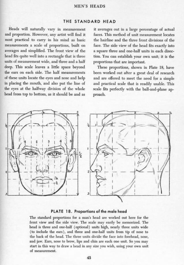 Andrew loomis drawing the head and hands PDF