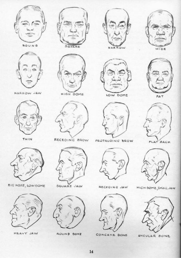 Andrew loomis drawing the head and hands