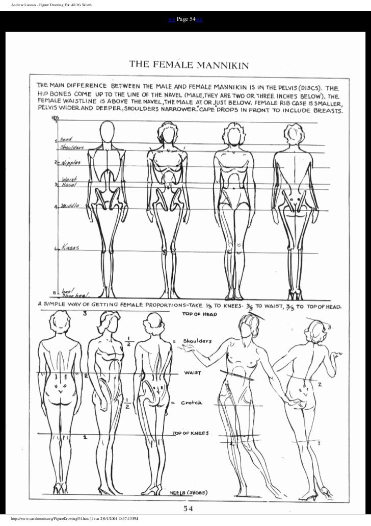 Andrew loomis figure drawingforallitsworth corpo