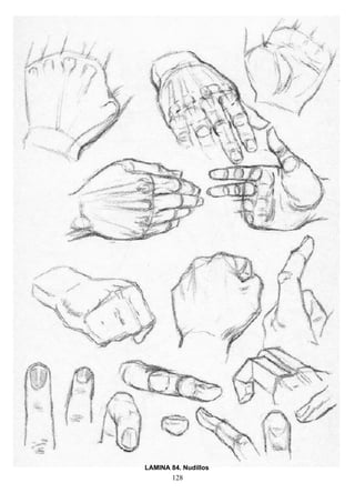 128
LAMINA 84. Nudillos
 