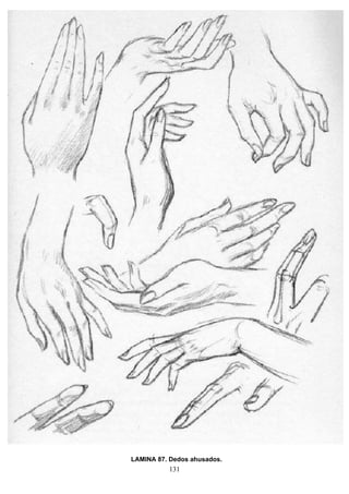 131
LAMINA 87. Dedos ahusados.
 