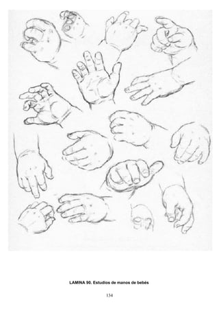 134
LAMINA 90. Estudios de manos de bebés
 