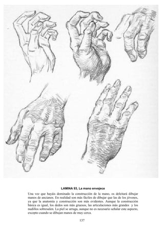 137
LAMINA 93, La mano envejece
Una vez que hayáis dominado la construcción de la mano, os deleitará dibujar
manos de ancianos. En realidad son más fáciles de dibujar que las de los jóvenes,
ya que la anatomía y construcción son más evidentes. Aunque la construcción
básica es igual, los dedos son más gruesos, las articulaciones más grandes y los
nudillos sobresalen. La piel se arruga, aunque no es necesario señalar este aspecto,
excepto cuando se dibujan manos de muy cerca.
 