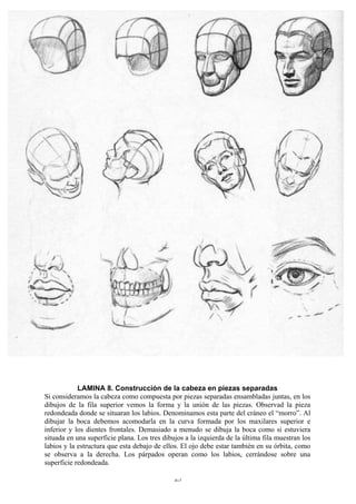 25
LAMINA 8. Construcción de la cabeza en piezas separadas
Si consideramos la cabeza como compuesta por piezas separadas ensambladas juntas, en los
dibujos de la fila superior vemos la forma y la unión de las piezas. Observad la pieza
redondeada donde se situaran los labios. Denominamos esta parte del cráneo el “morro”. Al
dibujar la boca debemos acomodarla en la curva formada por los maxilares superior e
inferior y los dientes frontales. Demasiado a menudo se dibuja la boca como si estuviera
situada en una superficie plana. Los tres dibujos a la izquierda de la última fila muestran los
labios y la estructura que esta debajo de ellos. El ojo debe estar también en su órbita, como
se observa a la derecha. Los párpados operan como los labios, cerrándose sobre una
superficie redondeada.
 
