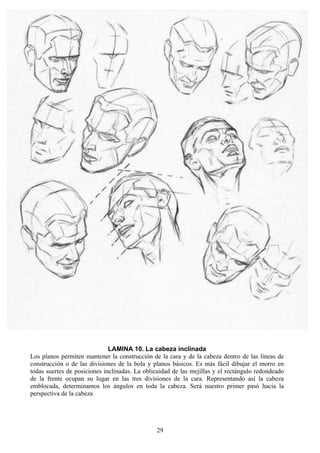 29
LAMINA 10. La cabeza inclinada
Los planos permiten mantener la construcción de la cara y de la cabeza dentro de las líneas de
construcción o de las divisiones de la bola y planos básicos. Es más fácil dibujar el morro en
todas suertes de posiciones inclinadas. La oblicuidad de las mejillas y el rectángulo redondeado
de la frente ocupan su lugar en las tres divisiones de la cara. Representando así la cabeza
emblocada, determinamos los ángulos en toda la cabeza. Será nuestro primer pasó hacia la
perspectiva de la cabeza
 
