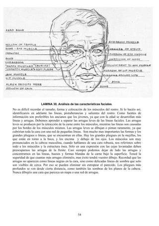54
LAMINA 30. Análisis de las características faciales.
No es difícil recordar el tamaño, forma y colocación de los músculos del rostro. Si lo hacéis así,
identificareis en adelante las líneas, protuberancias y salientes del rostro. Como fuentes de
información son preferibles los ancianos que los jóvenes, ya que con la edad se desarrollan más
líneas y arrugas. Debemos aprender a separar las arrugas leves de las líneas faciales. Las arrugas
leves se producen por la retracción de la carne entre los músculos, mientras las líneas son causadas
por los bordes de los músculos mismos. Las arrugas leves se dibujan o pintan raramente, ya que
cubrirían toda la cara con una red de pequeñas líneas. Son mucho mas importantes las formas y los
grandes pliegues o líneas, que se encuentran en ellas. Hay los grandes pliegues en la mejillas, los
que están en torno a la boca, y los encima y debajo de los ojos. Los músculos son muy
pronunciados en la cabeza masculina, cuando hablamos de una cara robusta, nos referimos sobre
todo a los músculos y la estructura ósea. Sólo en una expresión con las cejas levantadas deben
preocuparnos las arrugas de la frente. Casi siempre podemos dejar de lado las arrugas y
concentrarnos en las líneas, huesos y formas blandas de la carne bajo la superficie. Tened la
seguridad de que cuantas más arrugas eliminéis, mas éxito tendrá vuestro dibujo. Recordad que las
arrugas no aparecen como líneas negras en la cara, sino como delicadas líneas de sombra que solo
son visibles de cerca. Por eso se pueden eliminar sin estropear el parecido. Los pliegues más
profundos se ven desde cierta distancia, como también las sombras de los planos de la cabeza.
Nunca dibujéis una cara que parezca un mapa o una red de arrugas.
 