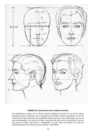 70
LAMINA 40. Construcción de la cabeza femenina
Las proporciones totales de la cabeza femenina difieren levemente de las de la cabeza
masculina, pero la estructura ósea y muscular es más frágil y menos prominente. En el arte
comercial los tipos femeninos de mandíbula firme gozan de mayor preferencia que los de
curvas redondeadas. Las cejas de la mujer están algo más altas que las masculinas. a boca es
más chica; los labios más llenos y redondeados, los ojos algo más grandes. No hay que
señalar demasiado los músculos de las mejillas y mandíbula.
 