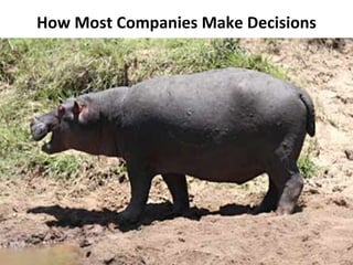 How Most Companies Make Decisions 