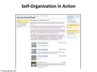 Self-Organization in Action 