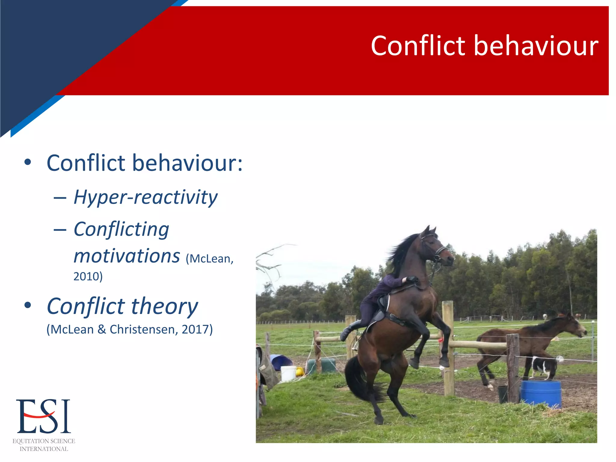 Conflict behaviour
• Conflict behaviour:
– Hyper-reactivity
– Conflicting
motivations (McLean,
2010)
• Conflict theory
(McLean & Christensen, 2017)
 