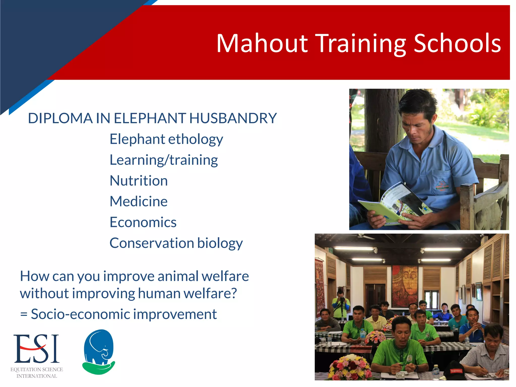 Mahout Training Schools
DIPLOMA IN ELEPHANT HUSBANDRY
– Elephant ethology
– Learning/training
– Nutrition
– Medicine
– Economics
– Conservation biology
How can you improve animal welfare
without improving human welfare?
= Socio-economic improvement
 