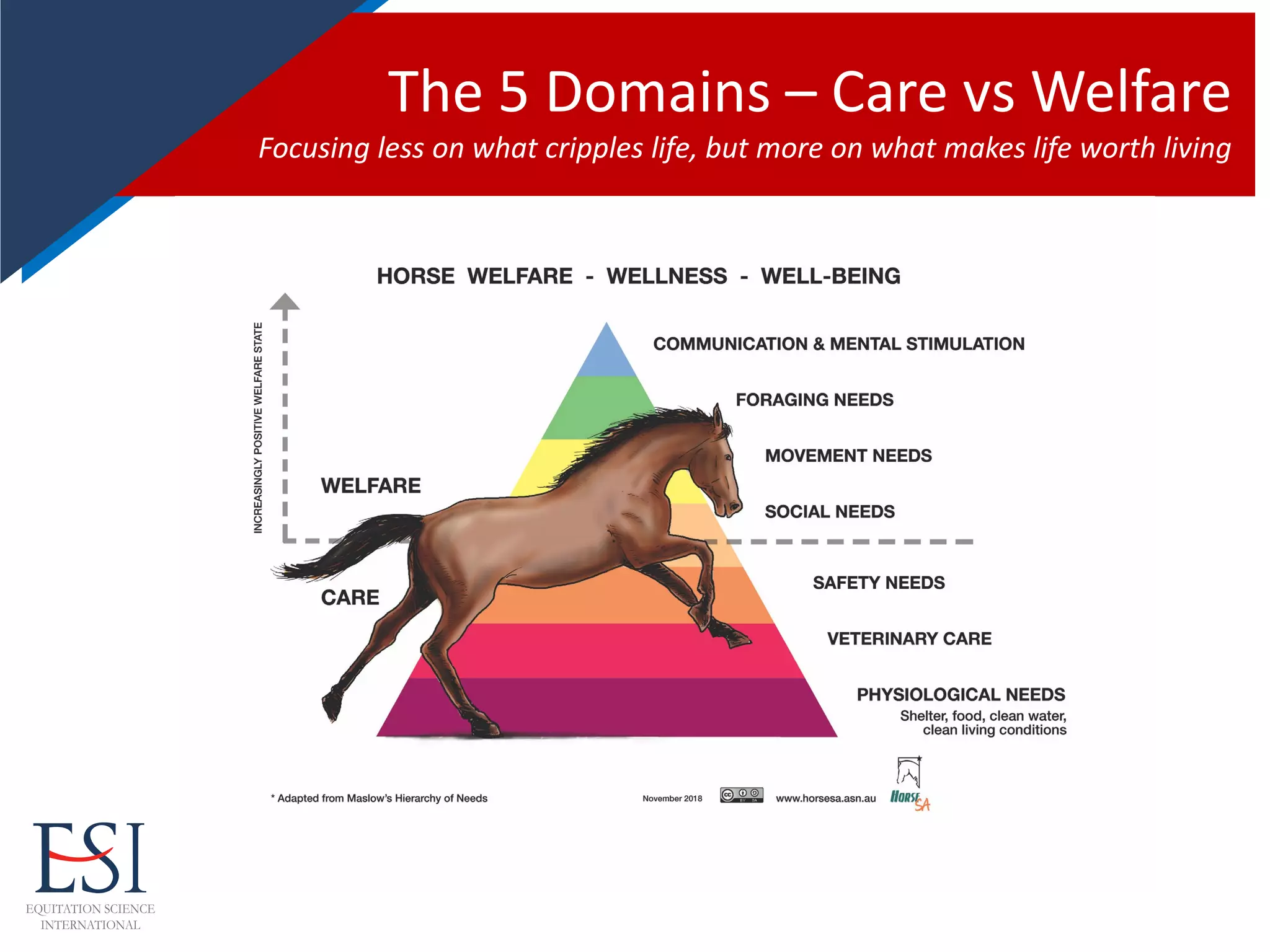 The 5 Domains – Care vs Welfare
Focusing less on what cripples life, but more on what makes life worth living
 