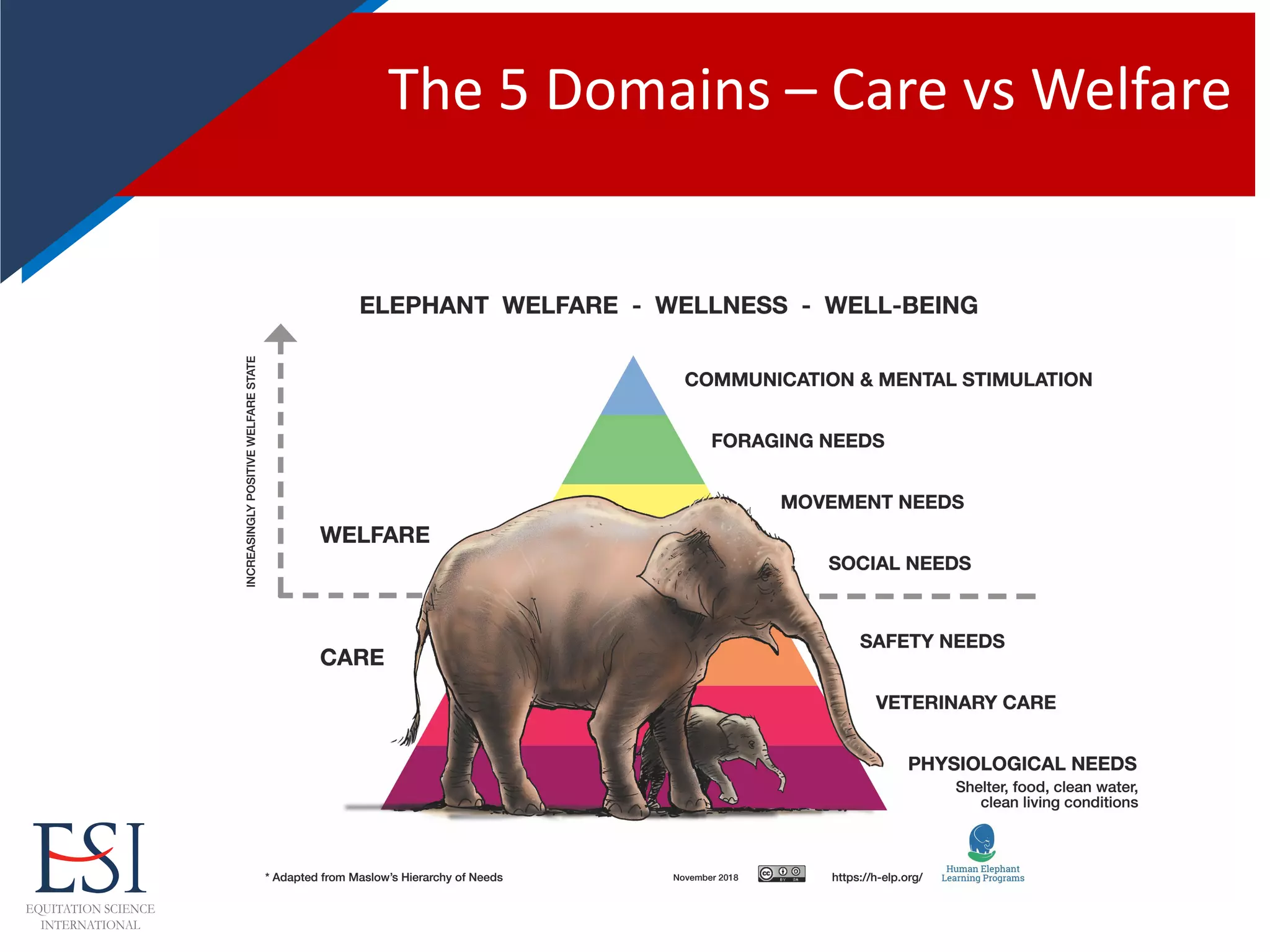 The 5 Domains – Care vs Welfare
 