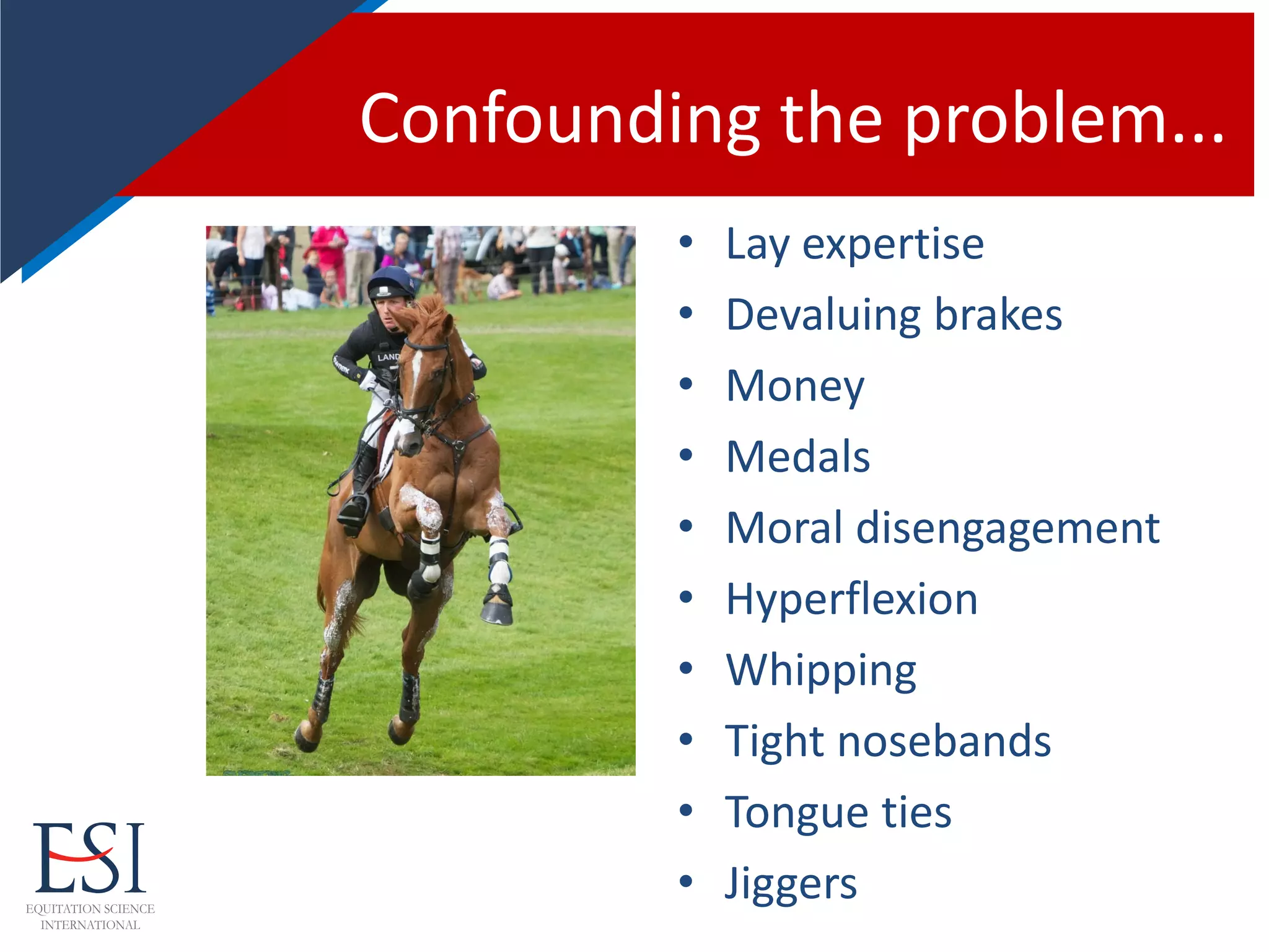 Confounding the problem...
• Lay expertise
• Devaluing brakes
• Money
• Medals
• Moral disengagement
• Hyperflexion
• Whipping
• Tight nosebands
• Tongue ties
• Jiggers
 