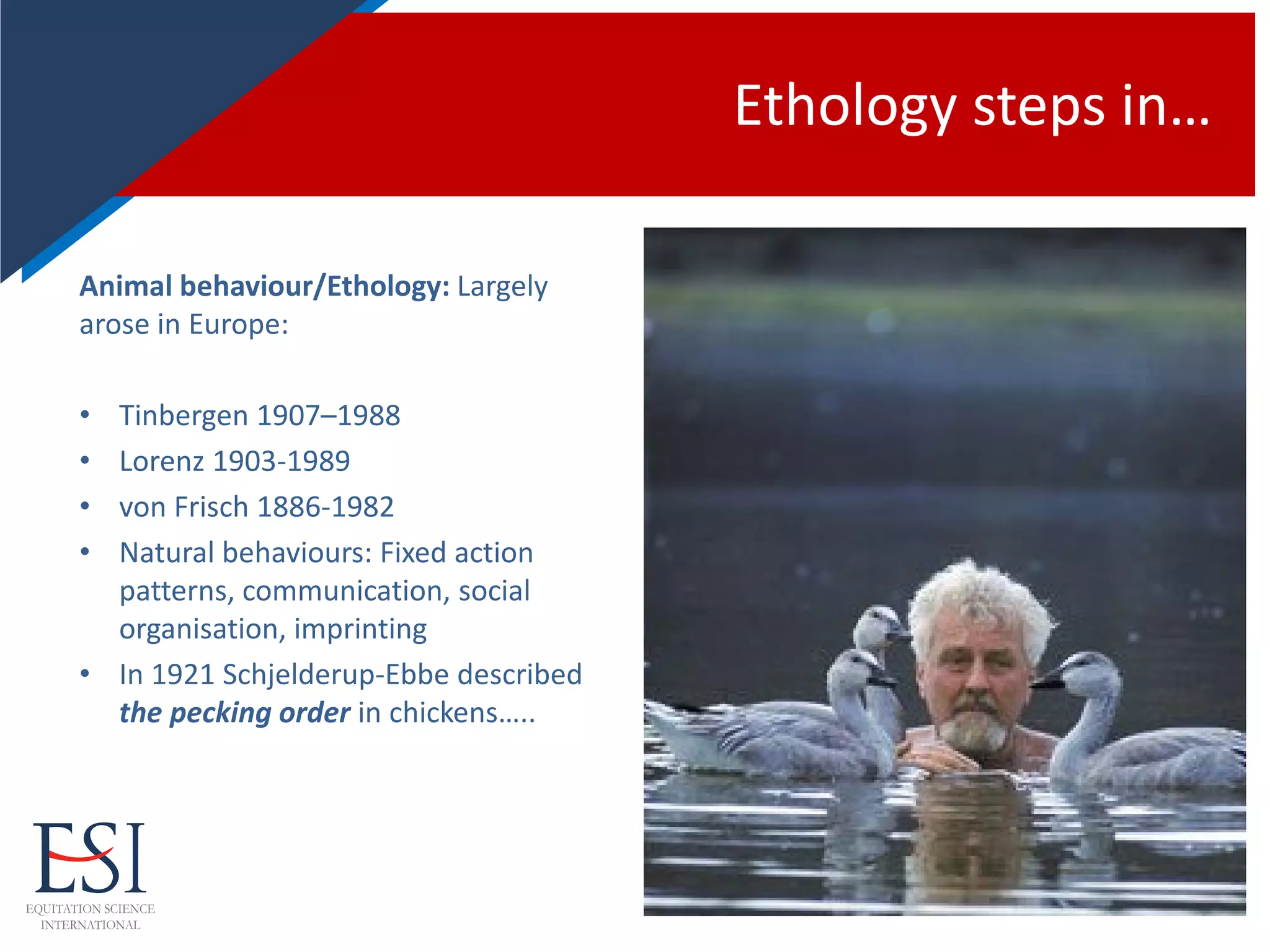 Ethology steps in…
Animal behaviour/Ethology: Largely
arose in Europe:
• Tinbergen 1907–1988
• Lorenz 1903-1989
• von Frisch 1886-1982
• Natural behaviours: Fixed action
patterns, communication, social
organisation, imprinting
• In 1921 Schjelderup-Ebbe described
the pecking order in chickens…..
 