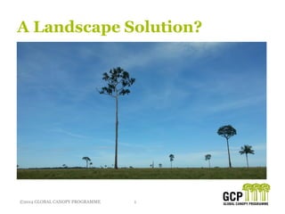 ©2014 GLOBAL CANOPY PROGRAMME 1©2014 GLOBAL CANOPY PROGRAMME
A Landscape Solution?
 
