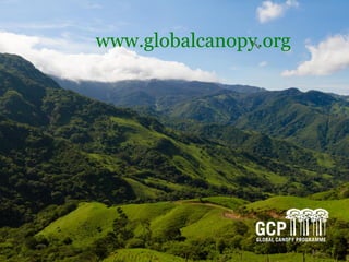 ©2014 GLOBAL CANOPY PROGRAMME 20
www.globalcanopy.org
 