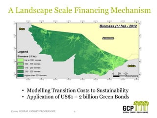 ©2014 GLOBAL CANOPY PROGRAMME 4©2014 GLOBAL CANOPY PROGRAMME
A Landscape Scale Financing Mechanism
• Modelling Transition Costs to Sustainability
• Application of US$1 – 2 billion Green Bonds
 