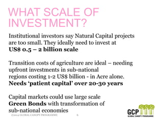 ©2014 GLOBAL CANOPY PROGRAMME 6
WHAT SCALE OF
INVESTMENT?
Institutional investors say Natural Capital projects
are too small. They ideally need to invest at
US$ 0.5 – 2 billion scale
Transition costs of agriculture are ideal – needing
upfront investments in sub-national
regions costing 1-2 US$ billion - in Acre alone.
Needs ‘patient capital’ over 20-30 years
Capital markets could use large scale
Green Bonds with transformation of
sub-national economies
 