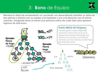 3: Bono de Equipo
Mientras tu árbol de enrolamiento va creciendo vas desarrollando también un árbol de
dos piernas o binario con un equipo a la izquierda y uno a la derecha con el mismo
volumen. Asegúrate tener al menos una persona activa de cada lado para generar
ingresos de este bono.
ALGO UNICO DE FGXpress:
Puedes ganar hasta US$20,000
semanal. Todo el QV que no se
pague de la pierna de pago esa
semana se sumara a la proxima
semana con las mismas condiciones
de limite semanal.
Ejemplo:
Pierna
de Pago
=10,000
Ejemplo:
Pierna
larga
=12,000
Prox. Semana
SEMANAL
 