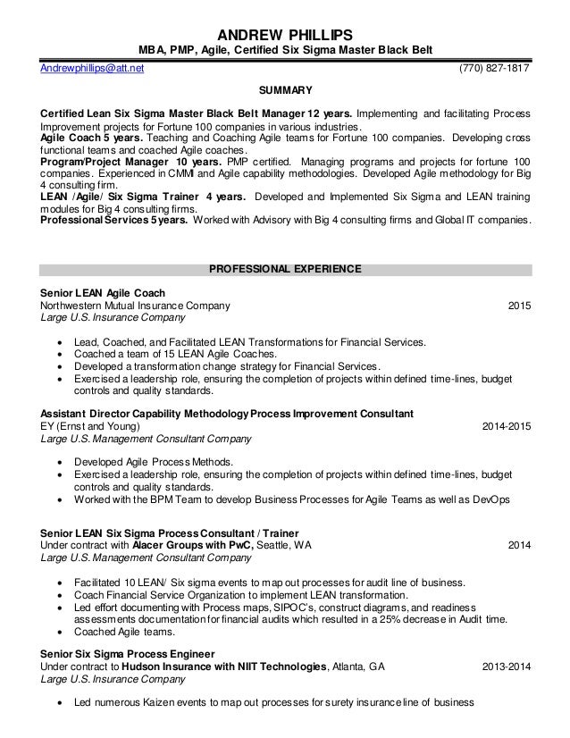 lean six sigma resume